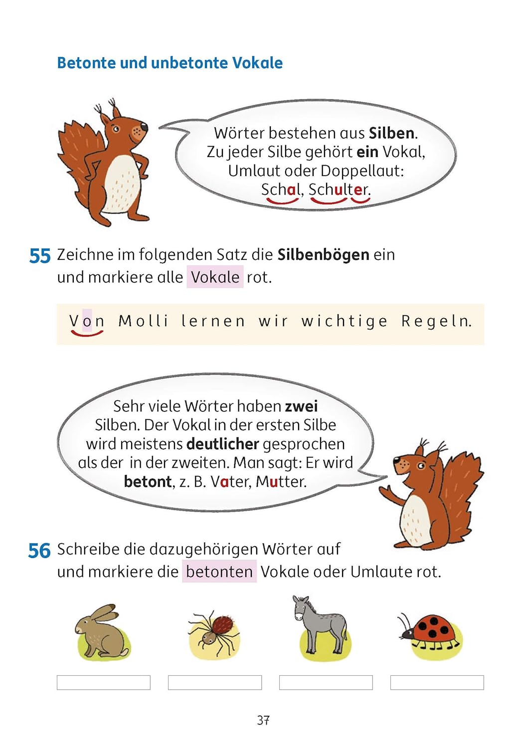 Rechtschreiben und Diktate 3. Klasse - Image 6