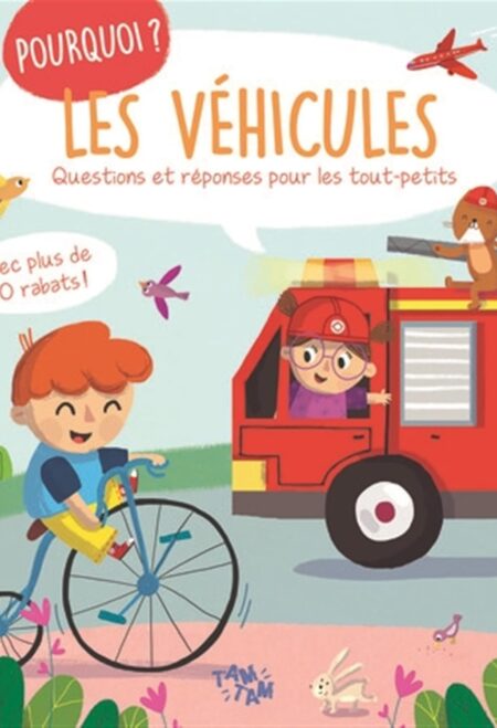 Les véhicules - Pourquoi ?