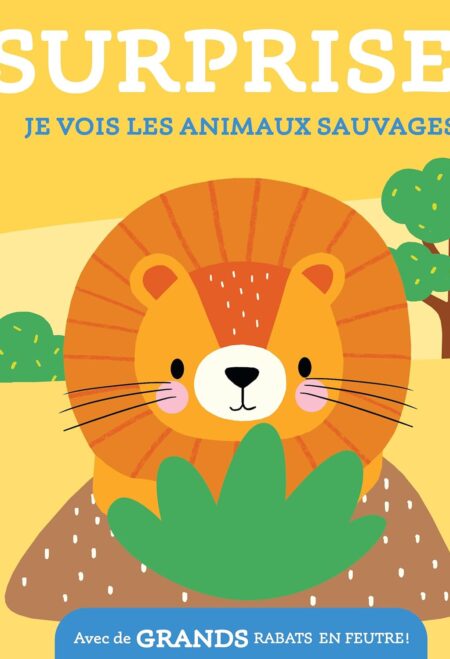 Surprise!: Je vois les animaux sauvages