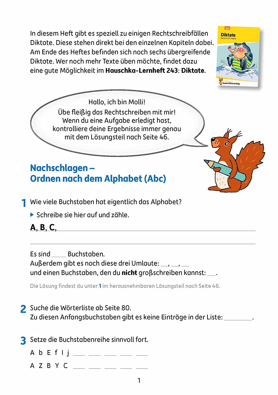 Rechtschreiben und Diktate 4. Klasse - Image 4