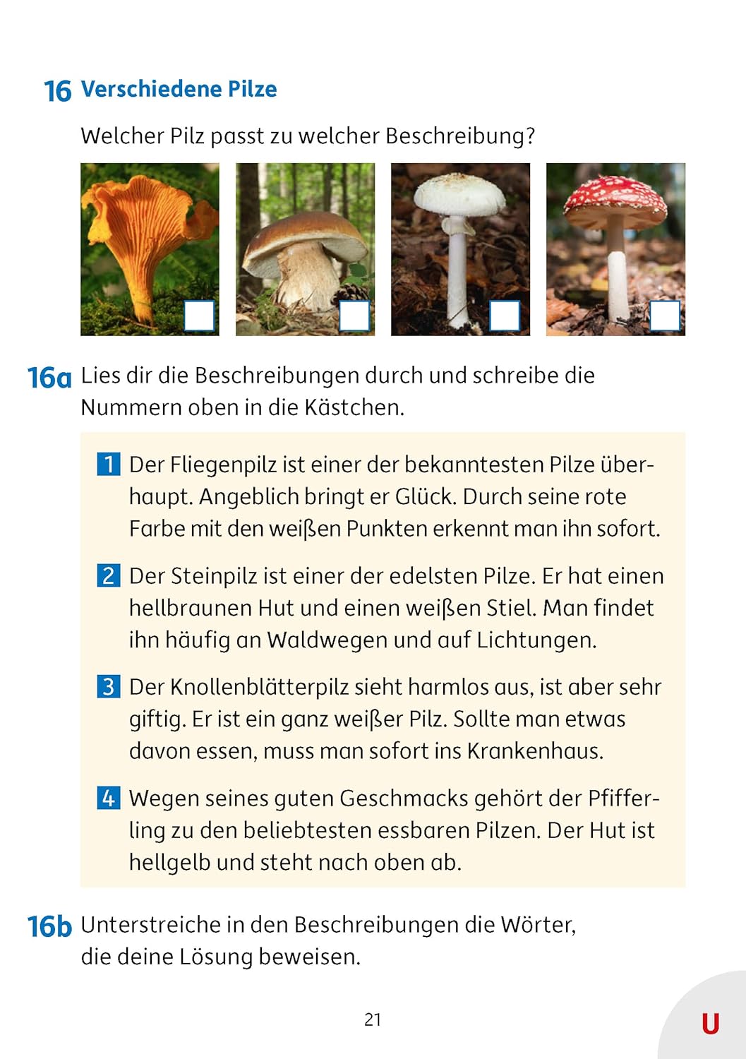 Besser lesen 3. Klasse - Image 7