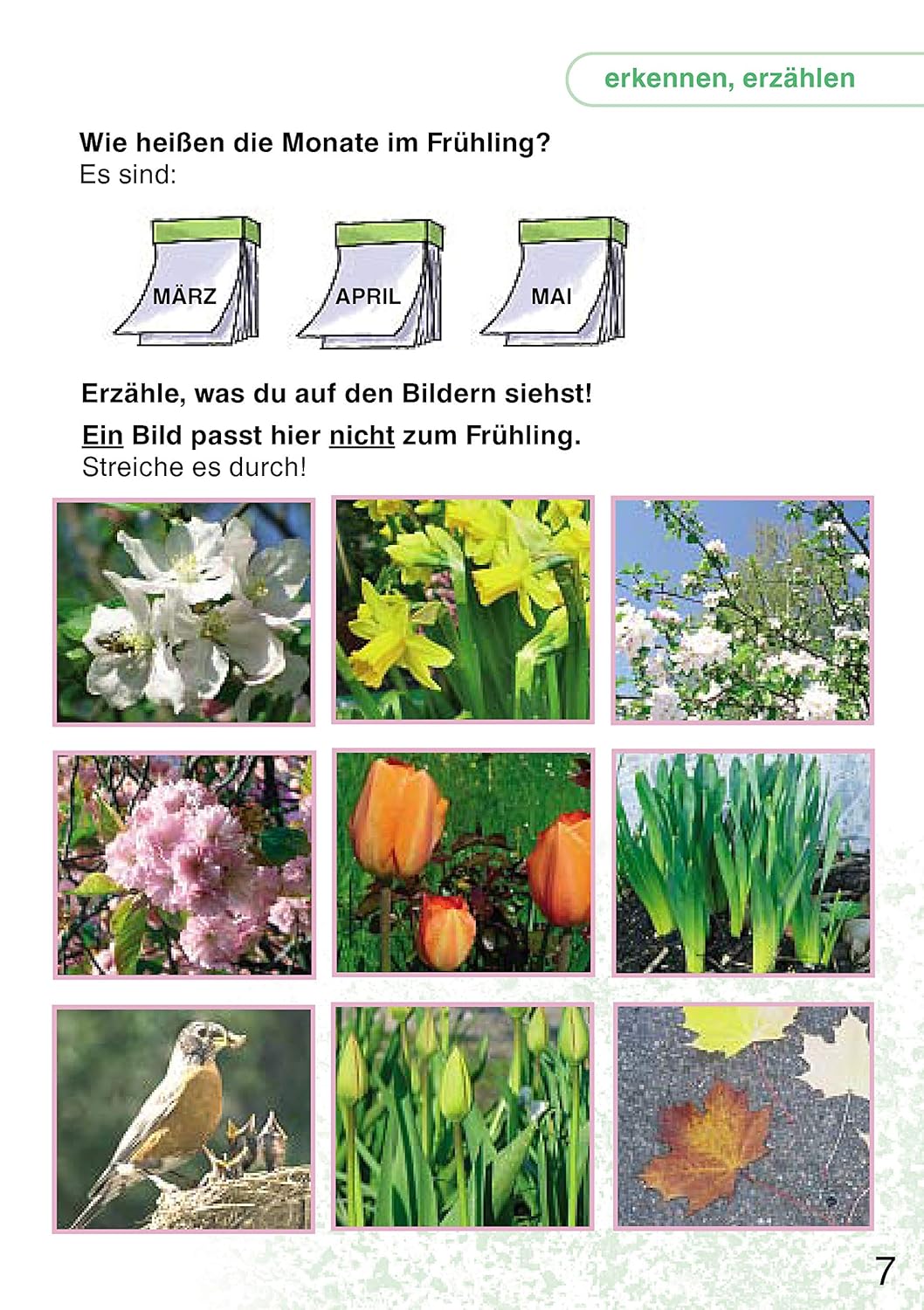 Unsere vier Jahreszeiten. Vorschule und die 1. Klasse - Image 4